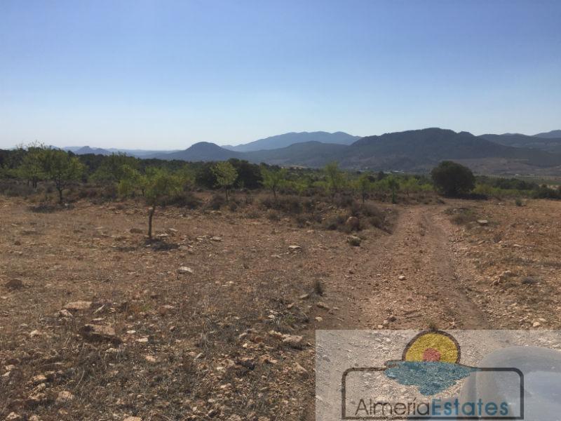 Venta de finca rústica en Chirivel