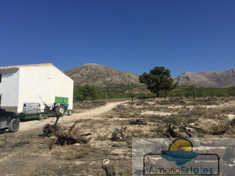 Venta de finca rústica en Chirivel