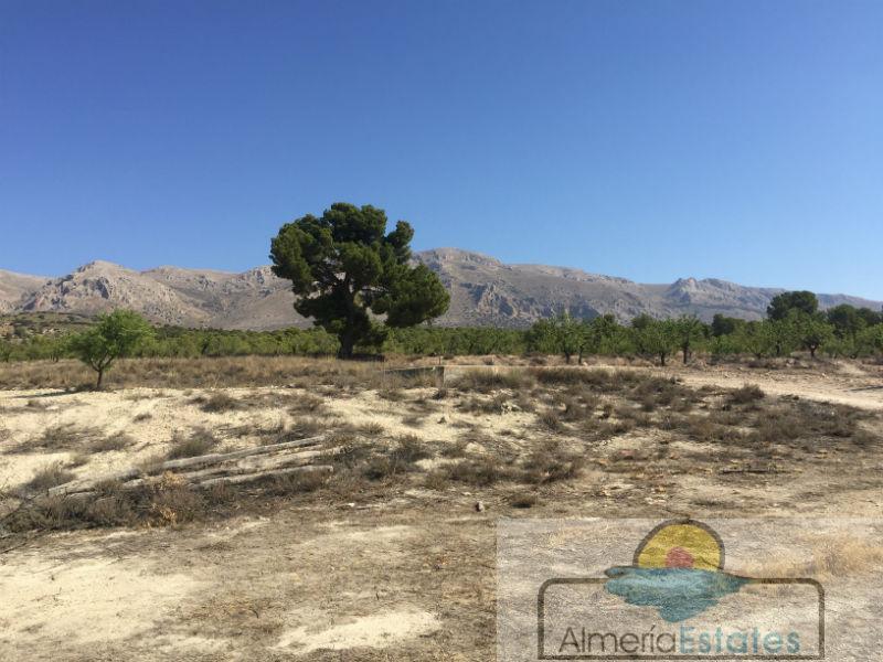 Venta de finca rústica en Chirivel