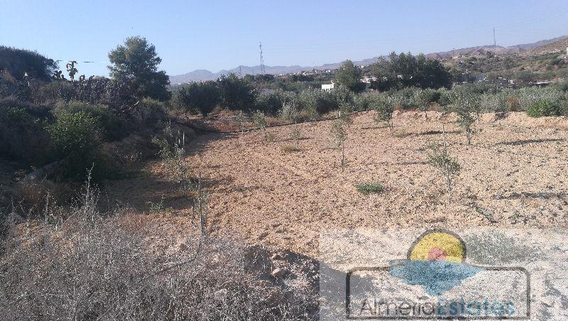 Venta de villa en Albox