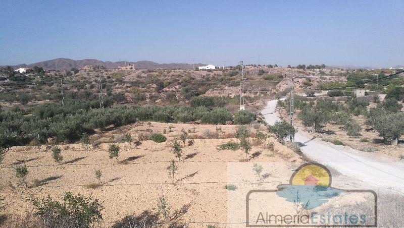 Venta de villa en Albox