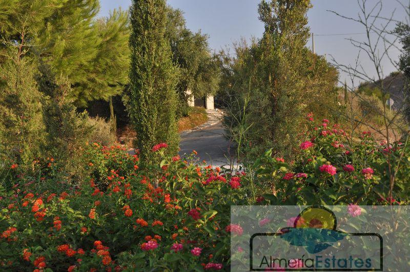 Venta de villa en Cantoria Venta de villa en Cantoria