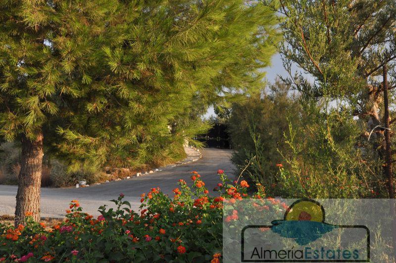 Venta de villa en Cantoria Venta de villa en Cantoria