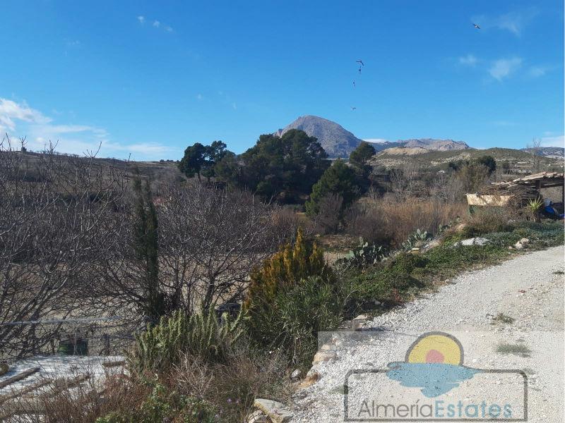 For sale of house in Vélez-Blanco
