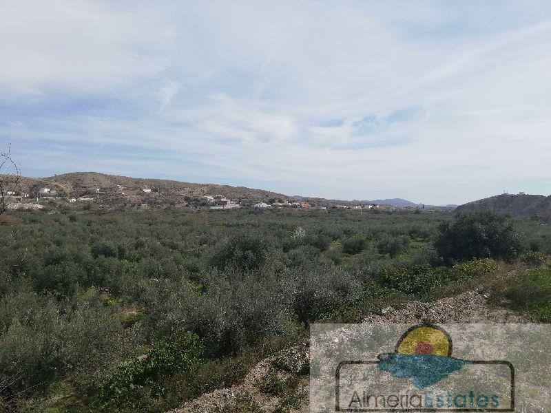 For sale of villa in Albox