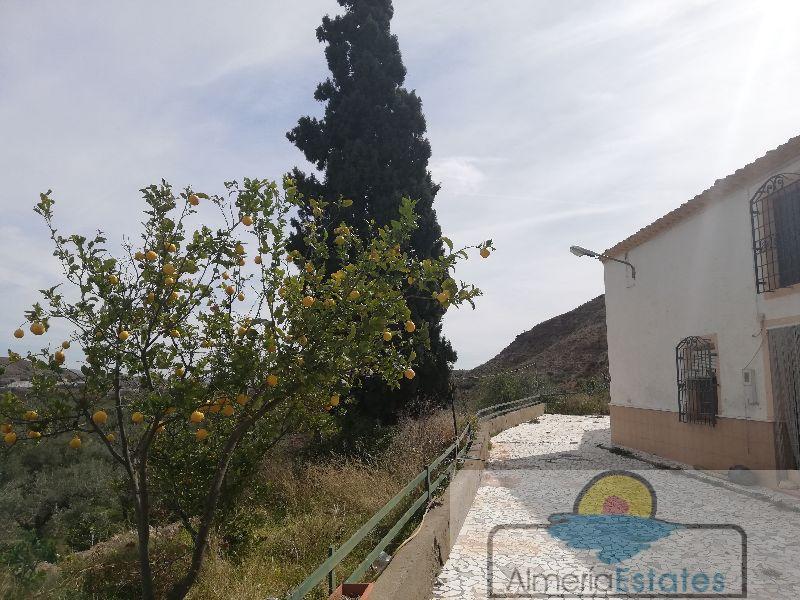 For sale of villa in Albox