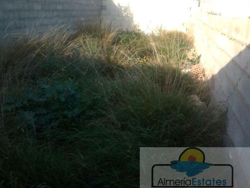 For rent of house in Almanzora