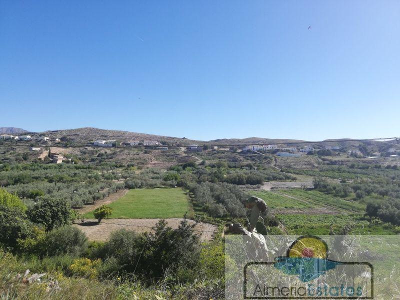 For sale of house in Albox