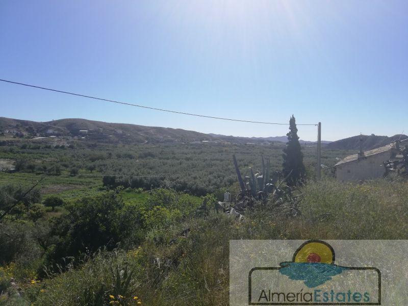 For sale of house in Albox