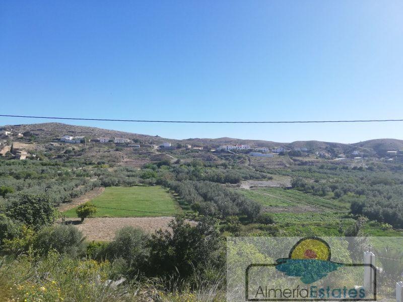 For sale of house in Albox