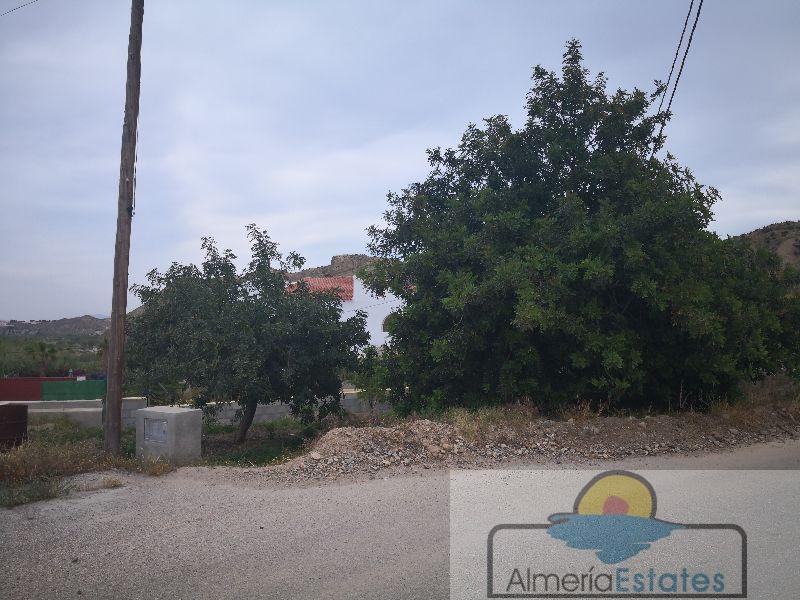 For sale of house in Arboleas