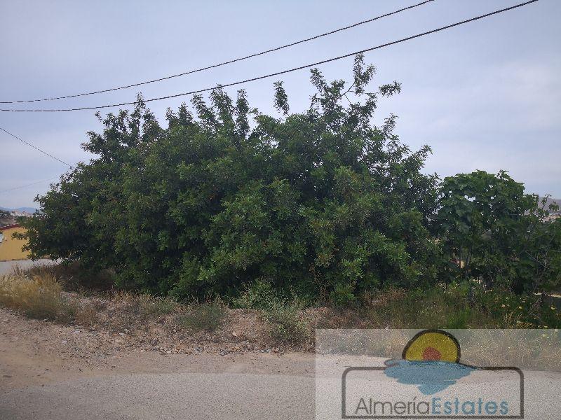 For sale of house in Arboleas