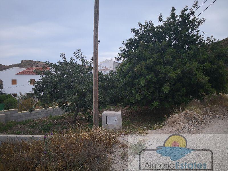 For sale of house in Arboleas