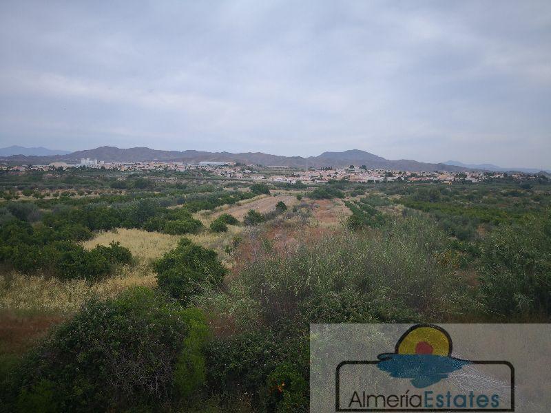 For sale of house in Arboleas