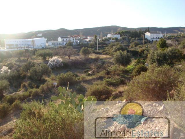 For sale of land in Taberno