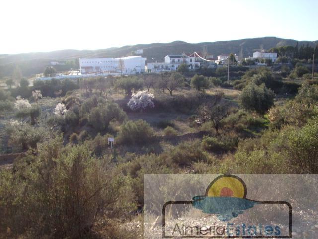 For sale of land in Taberno