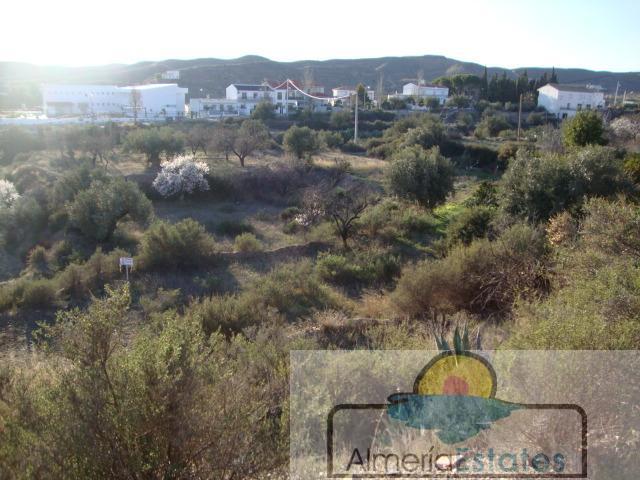 For sale of land in Taberno