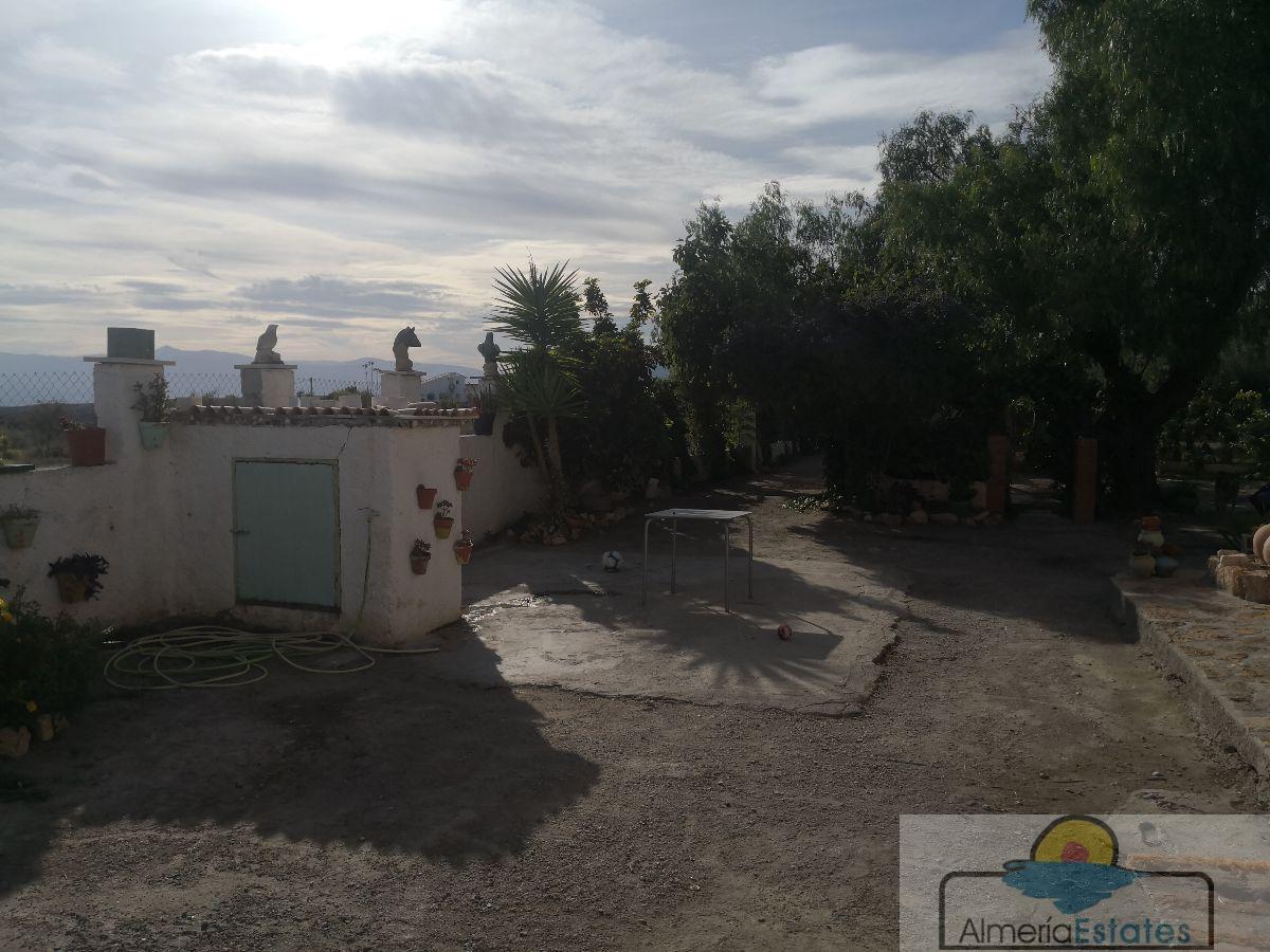 For rent of villa in Albox