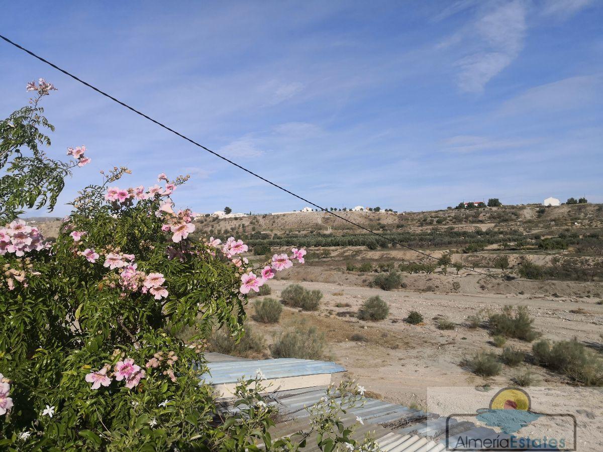 For rent of villa in Albox
