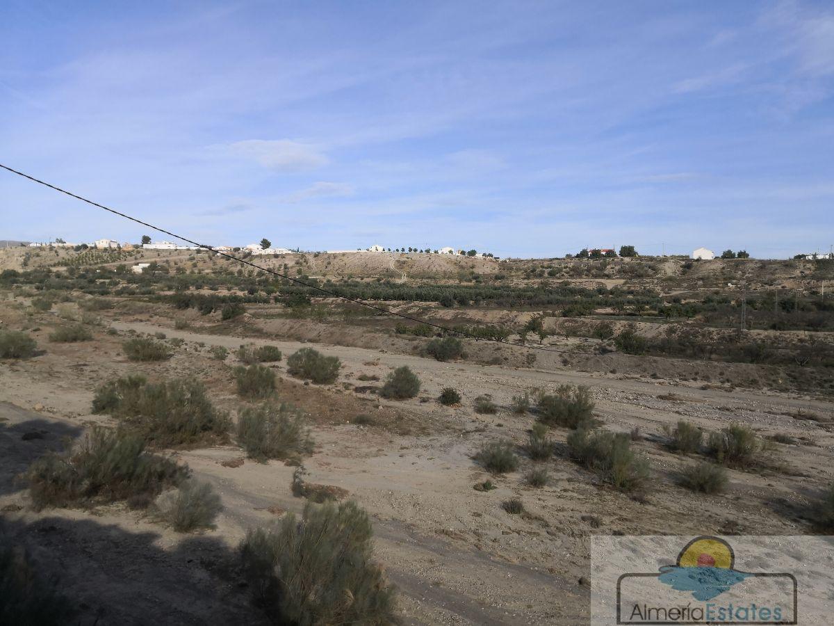 For rent of villa in Albox