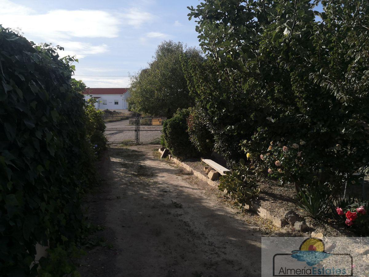 For rent of villa in Albox
