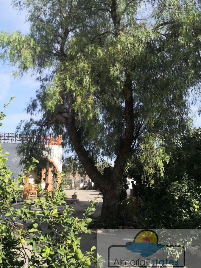 For rent of villa in Albox
