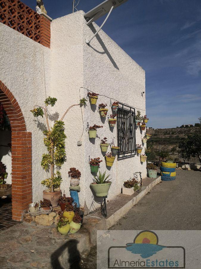 For rent of villa in Albox