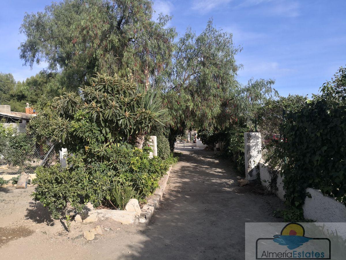 For rent of villa in Albox