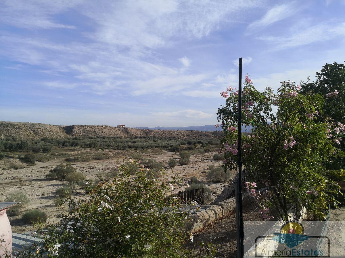 For rent of villa in Albox