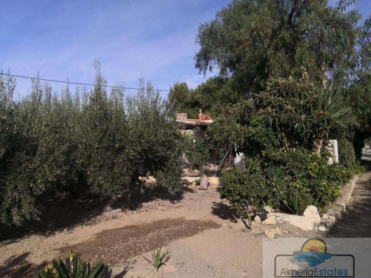 For rent of villa in Albox