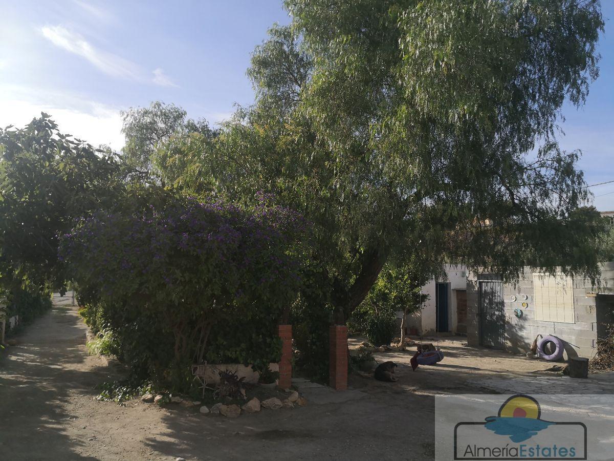 For rent of villa in Albox