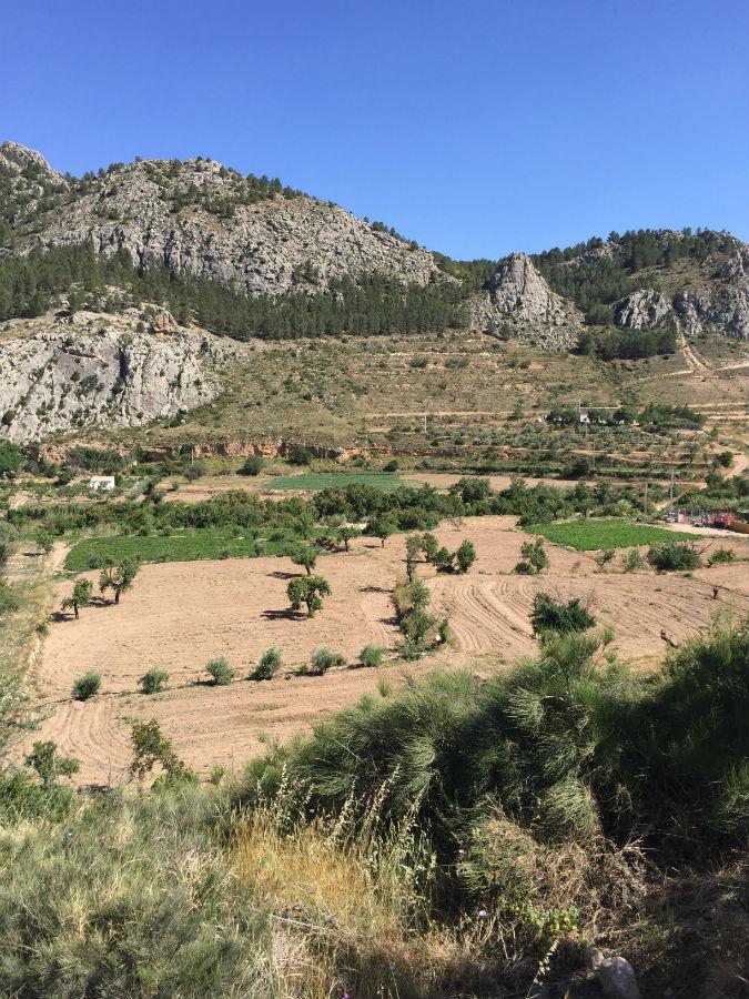 For sale of rural property in Vélez-Rubio