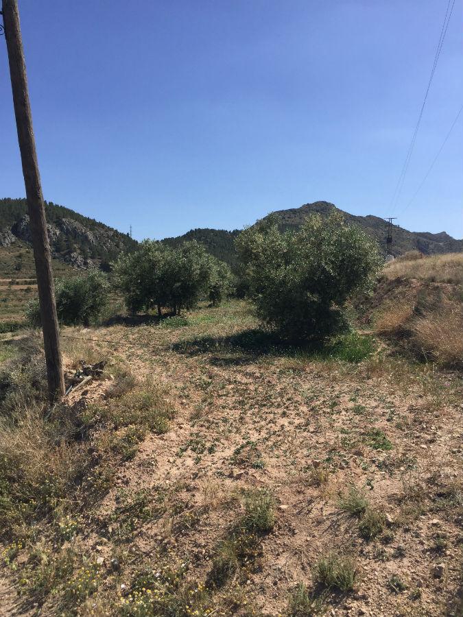 For sale of rural property in Vélez-Rubio