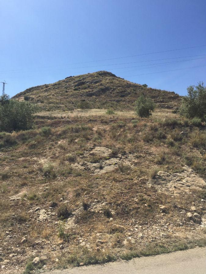 For sale of rural property in Vélez-Rubio