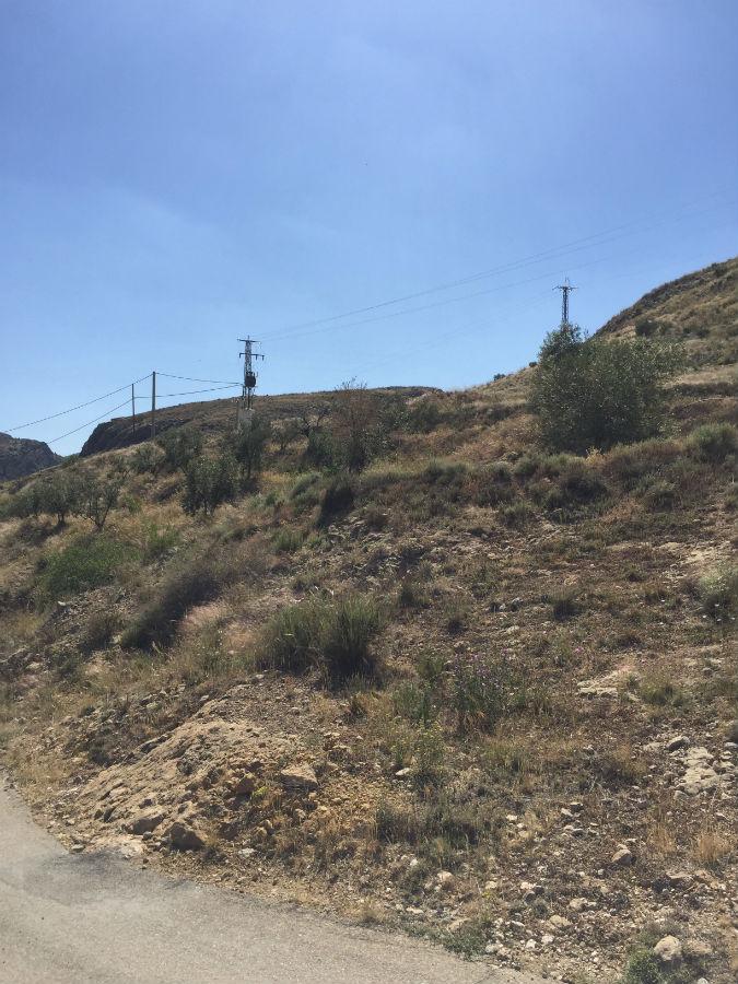 For sale of rural property in Vélez-Rubio