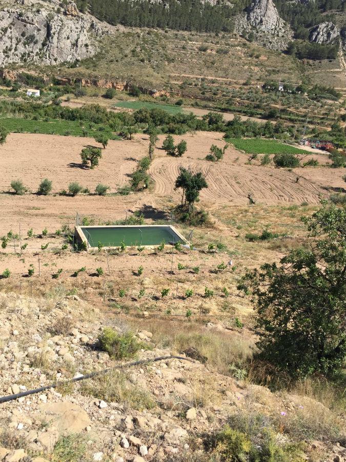 For sale of rural property in Vélez-Rubio