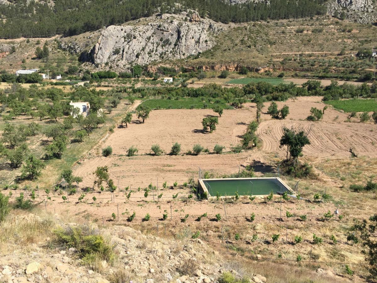 For sale of rural property in Vélez-Rubio