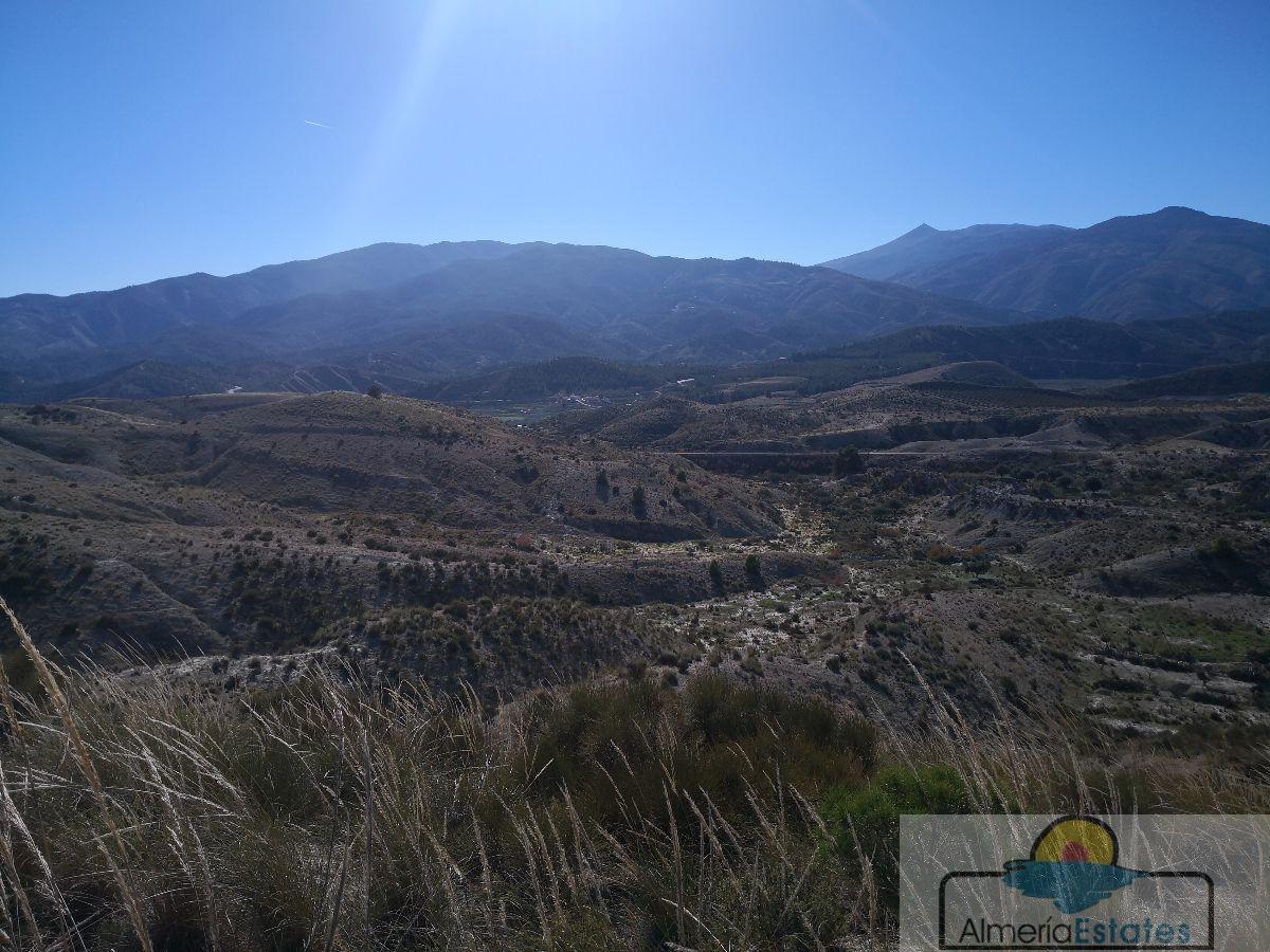 Venta de finca rústica en Somontín