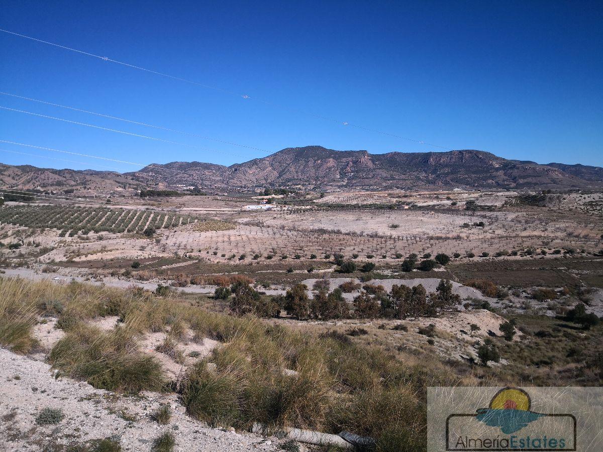 Venta de finca rústica en Somontín