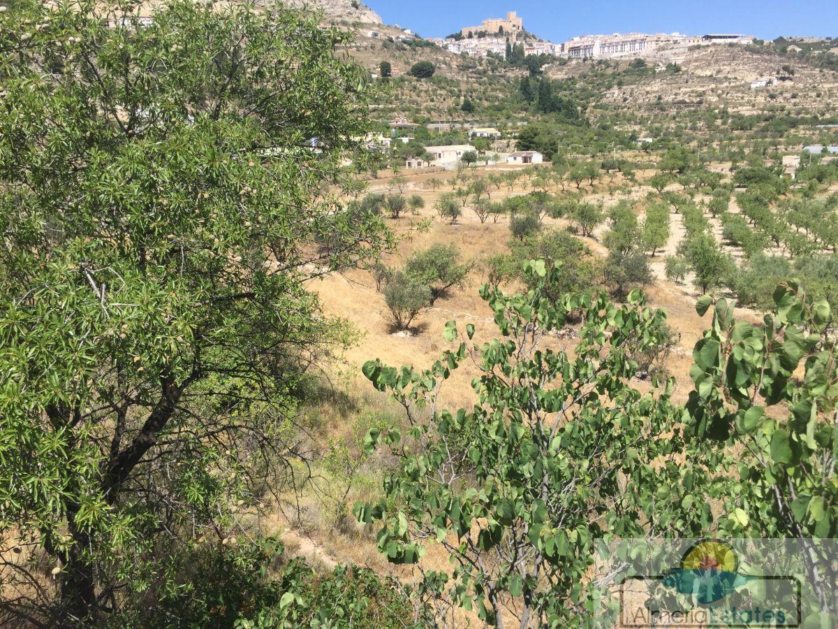 For sale of house in Vélez-Blanco