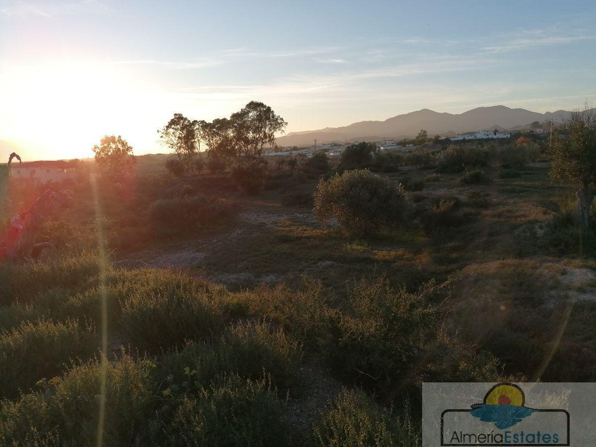 For sale of house in Partaloa
