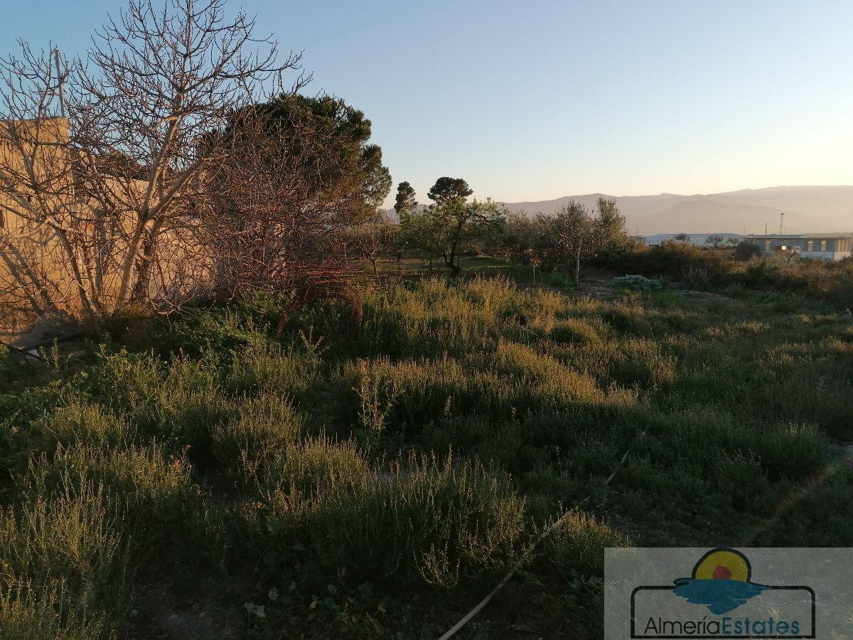 For sale of house in Partaloa