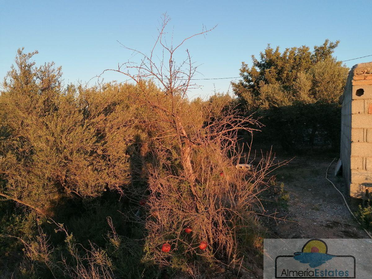 For sale of house in Partaloa