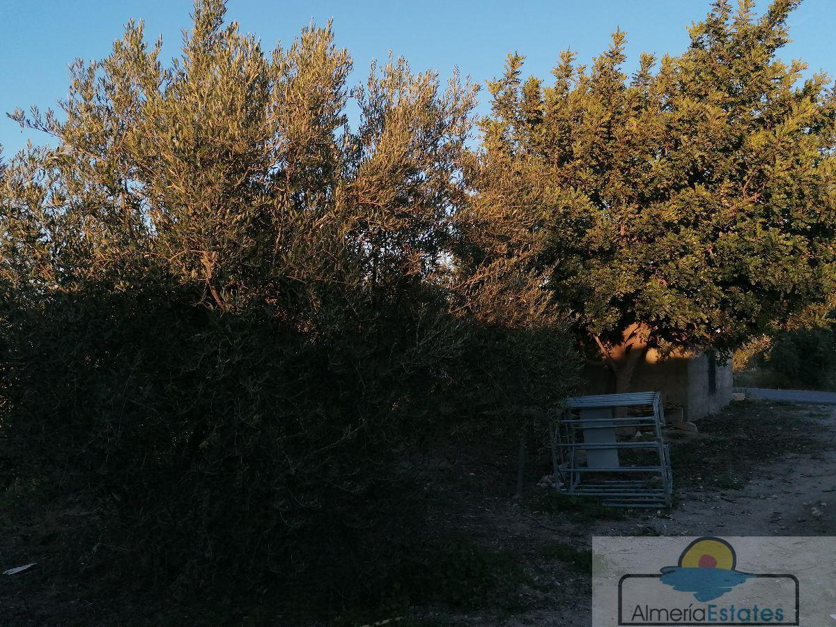 For sale of house in Partaloa