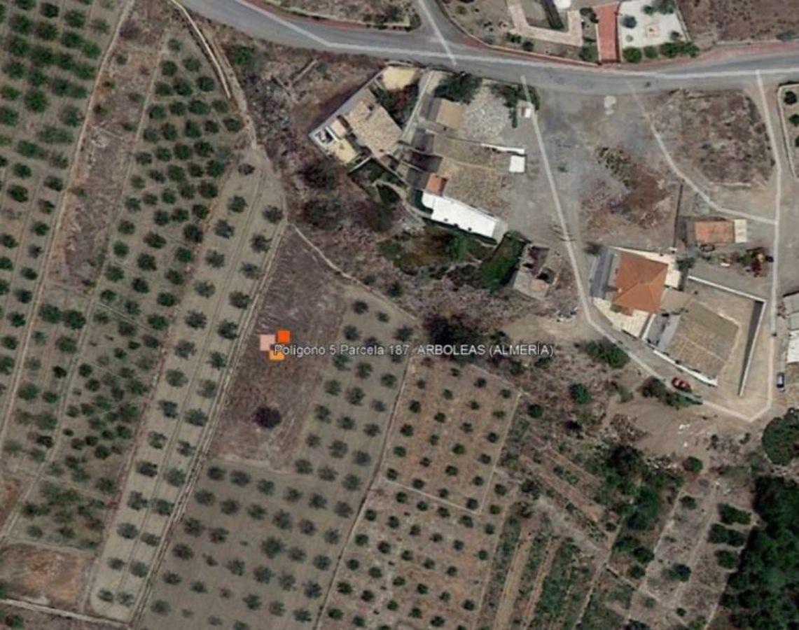 For sale of land in Arboleas