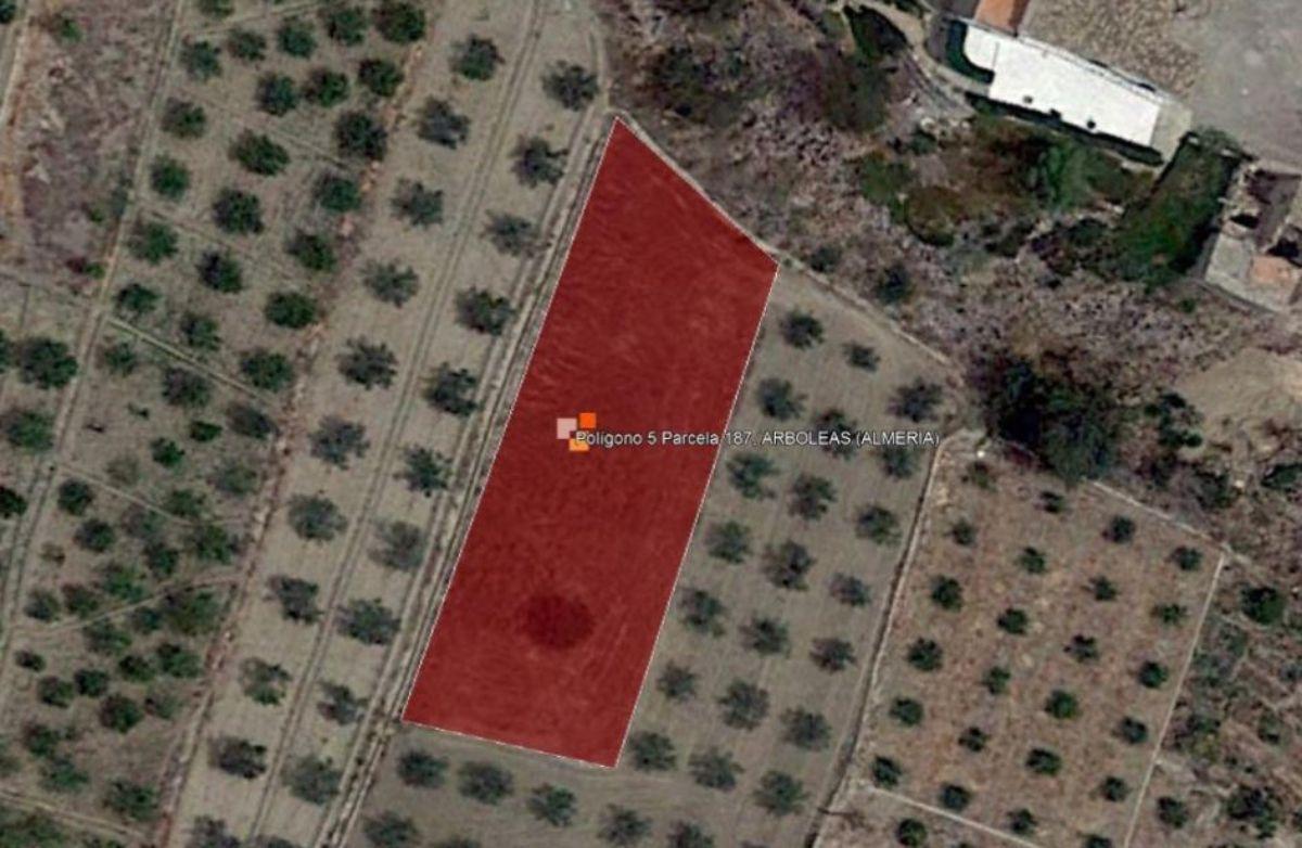 For sale of land in Arboleas