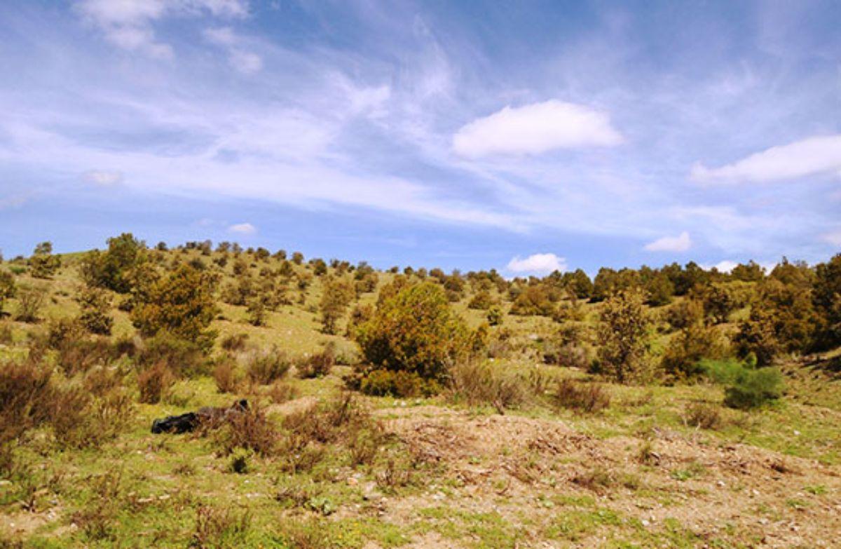 Venta de finca rústica en Vélez-Rubio