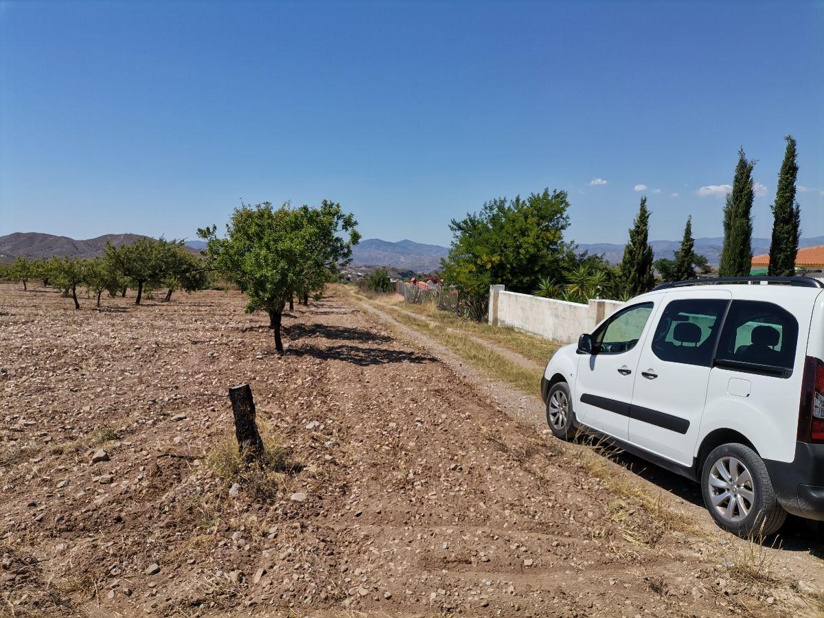 Alquiler de terreno en Albox