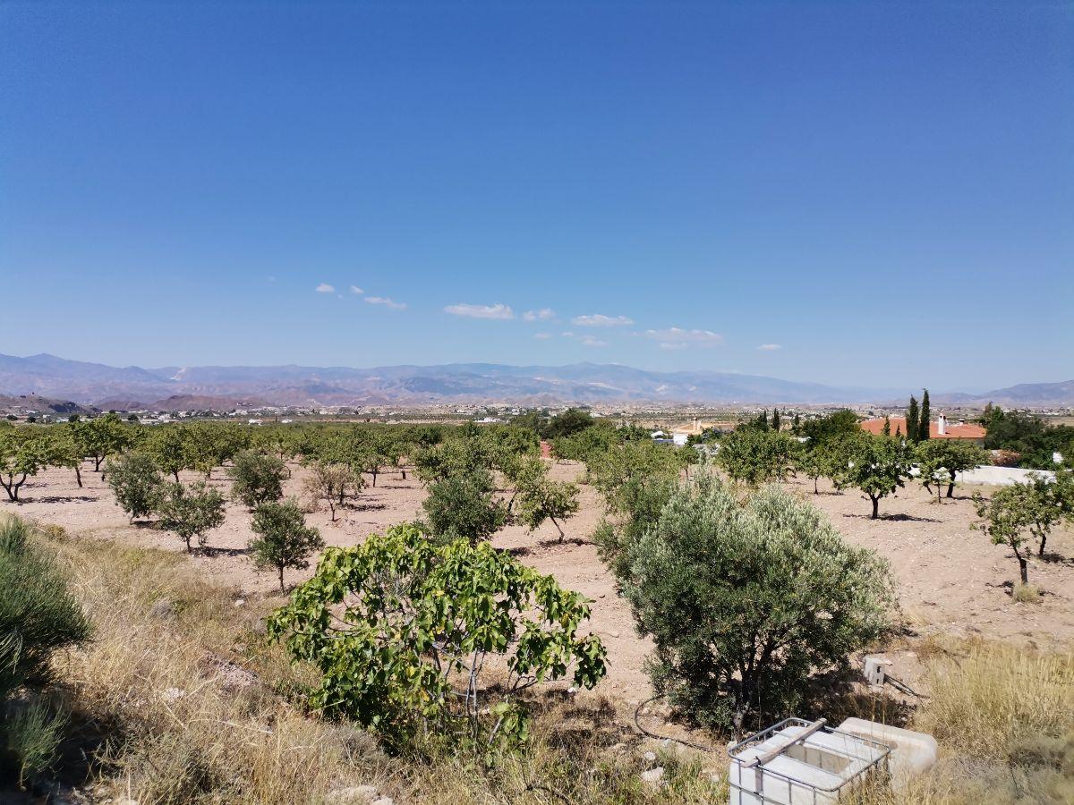 Alquiler de terreno en Albox