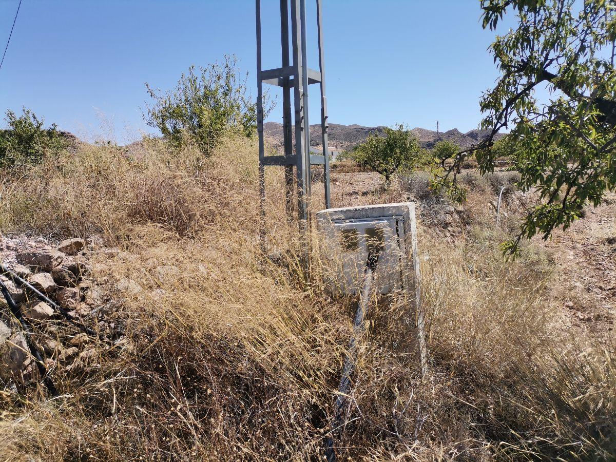 Alquiler de terreno en Albox